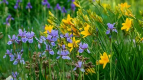 Mlsejte bez výčitek